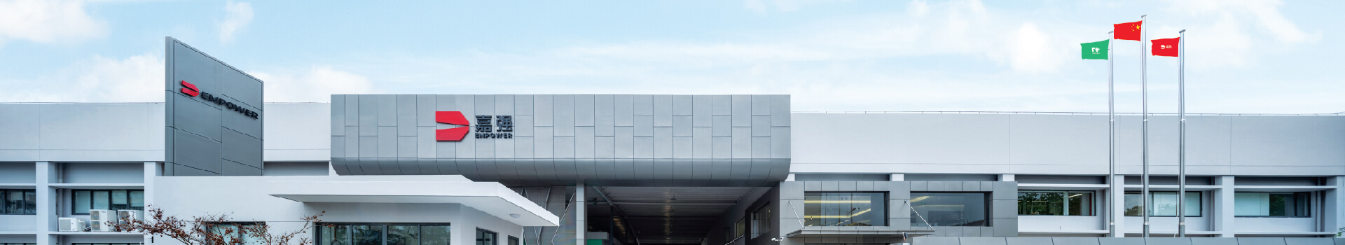 �������ޱ�Ӯ